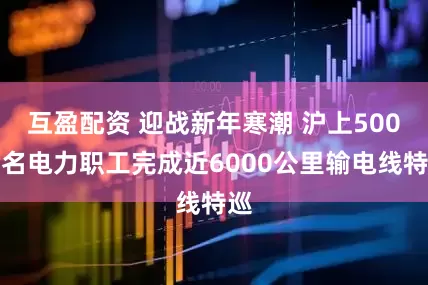 互盈配资 迎战新年寒潮 沪上500余名电力职工完成近6000公里输电线特巡