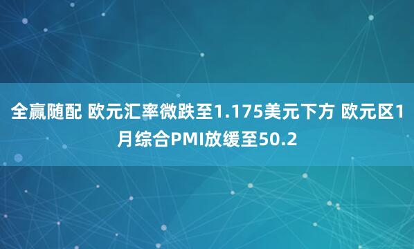 全赢随配 欧元汇率微跌至1.175美元下方 欧元区1月综合PMI放缓至50.2