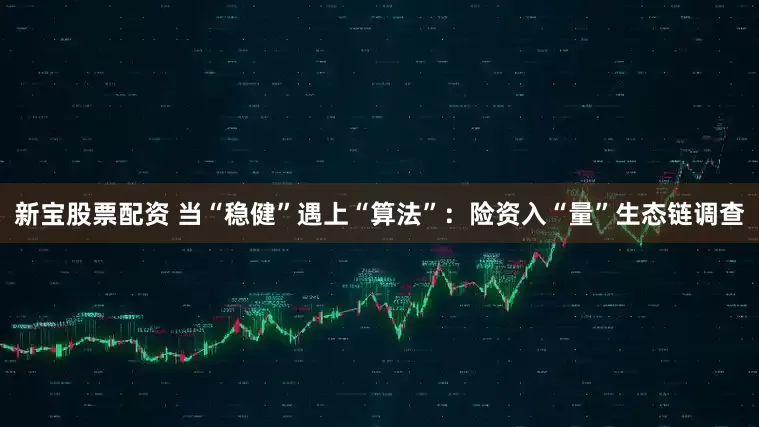 新宝股票配资 当“稳健”遇上“算法”：险资入“量”生态链调查